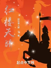 《红楼天骄》小说封面