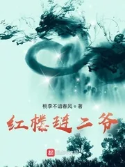 《红楼琏二爷》小说封面
