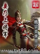 《妻乃上将军》小说封面