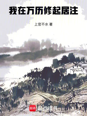 《我在万历修起居注》小说封面