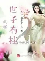 《我在红楼当王爷》小说封面