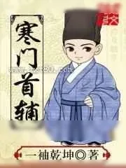 《宪宗实录》小说封面