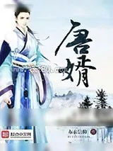 《唐婿》小说封面