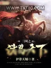 《三国之诸葛天下》小说封面
