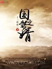 《国之赘婿》小说封面