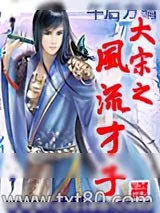 《大宋之风流才子》小说封面