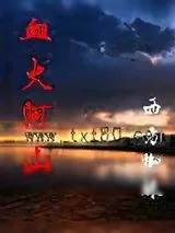 《血火河山》小说封面