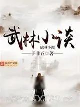 《武林小谈》小说封面