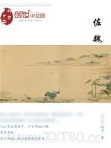 《佐魏》小说封面