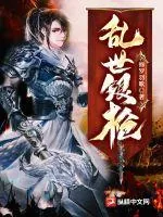 《乱世银枪》小说封面