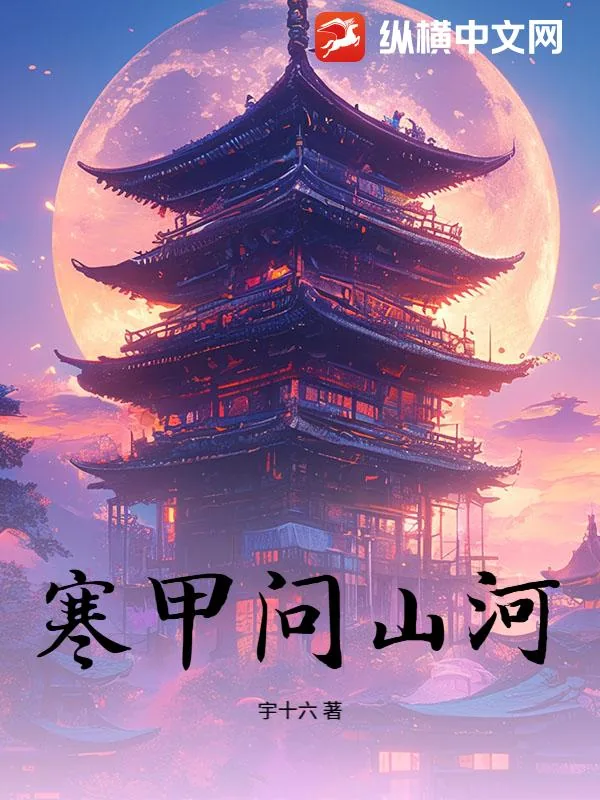 《寒甲问山河》小说封面