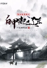 《隋末我为王之白甲起辽东》小说封面
