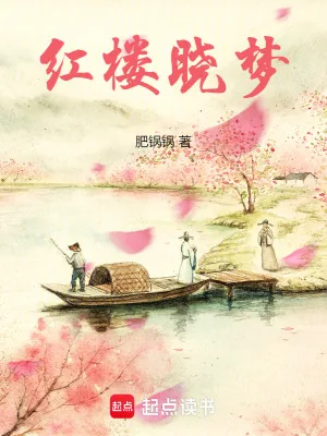 《红楼晓梦》小说封面
