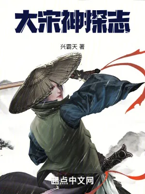 《大宋神探志》小说封面