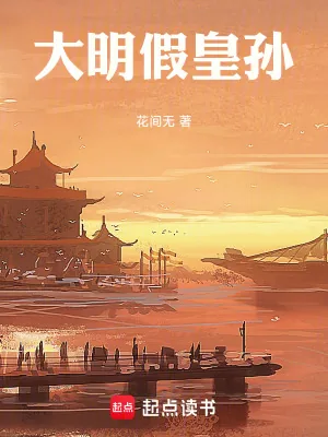 《大明假皇孙》小说封面