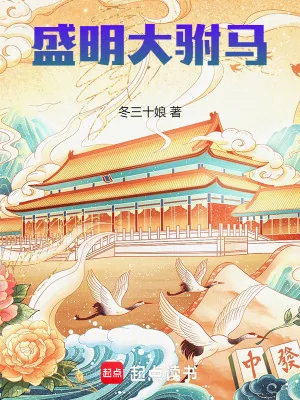 《盛明大驸马》小说封面