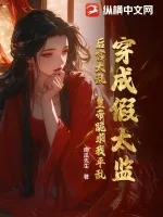 《穿成假太监：后宫太乱，皇帝跪求我平乱》小说封面