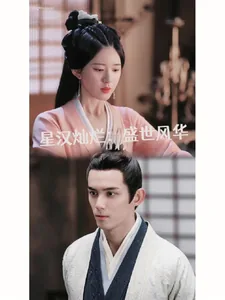 《星汉灿烂：盛世风华》小说封面