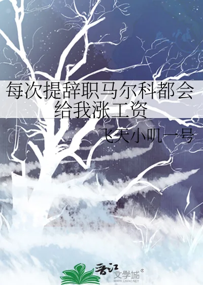 《每次提辞职马尔科都会给我涨工资》小说封面
