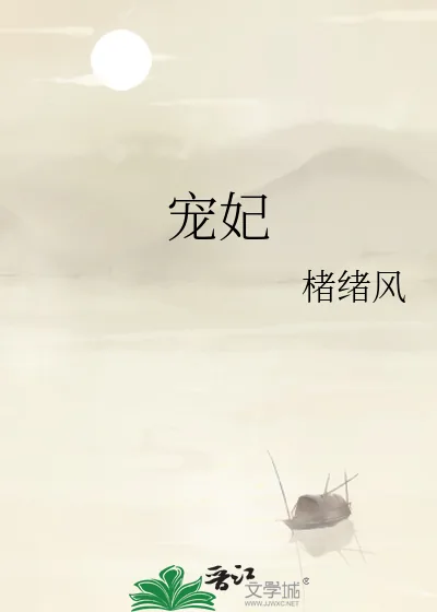 《宠妃》小说封面