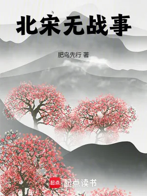 《北宋无战事》小说封面