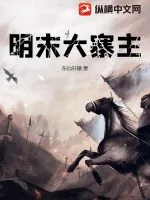 《明末大寨主》小说封面