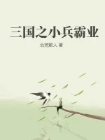 《三国之小兵霸业》小说封面