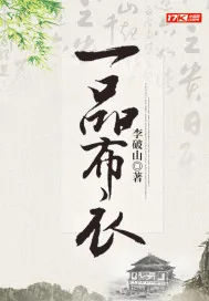 《一品布衣》小说封面