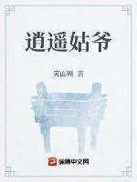 《逍遥姑爷》小说封面