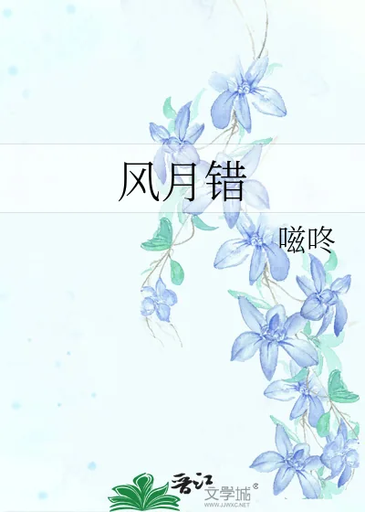 《风月错》小说封面