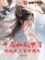 《开局私藏甲胄，你还藏了百万精兵？》小说封面