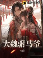 《大魏驸马爷》小说封面