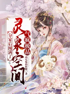 《分家后囤满了灵泉空间，气疯极品》小说封面