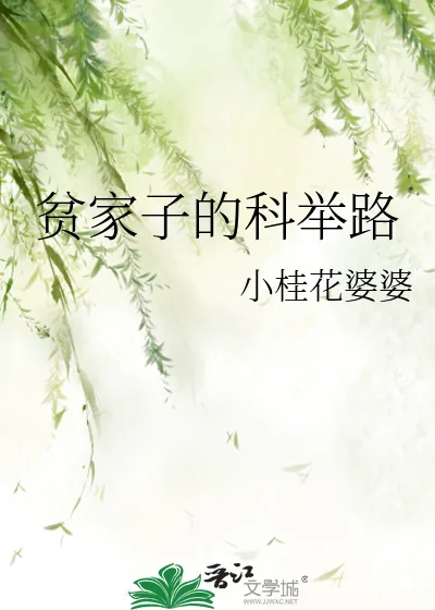 《贫家子的科举路》小说封面
