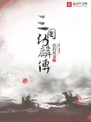 《三国幼麟传》小说封面