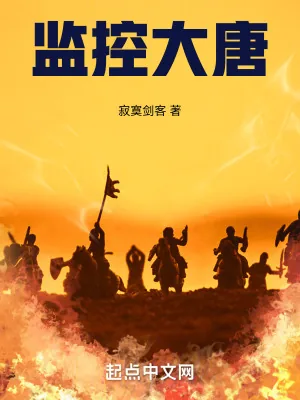 《监控大唐》小说封面