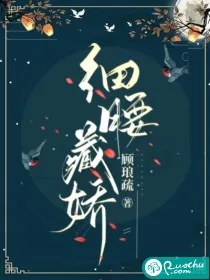 《细腰藏娇》小说封面