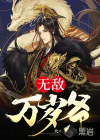 《无敌万岁爷》小说封面