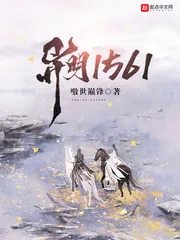 《异明1561》小说封面