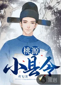 《桃源小县令》小说封面
