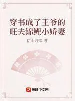 《穿书成了王爷的旺夫锦鲤小娇妻》小说封面
