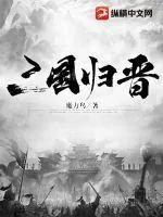 《三国归晋》小说封面