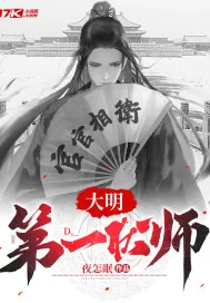 《大明第一状师》小说封面
