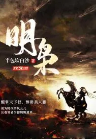 《明枭》小说封面