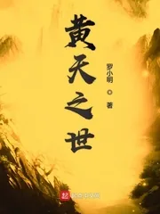《黄天之世》小说封面