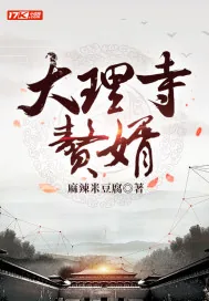 《大理寺赘婿》小说封面