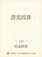 《潜龙戏珠》小说封面