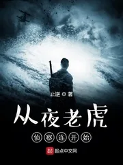《从夜老虎侦察连开始》小说封面