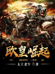 《欧皇崛起》小说封面