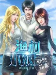 《渔村小农民》小说封面